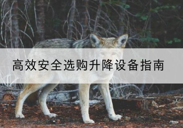 浑源升降货梯厂家推荐-*安全选购升降设备指南