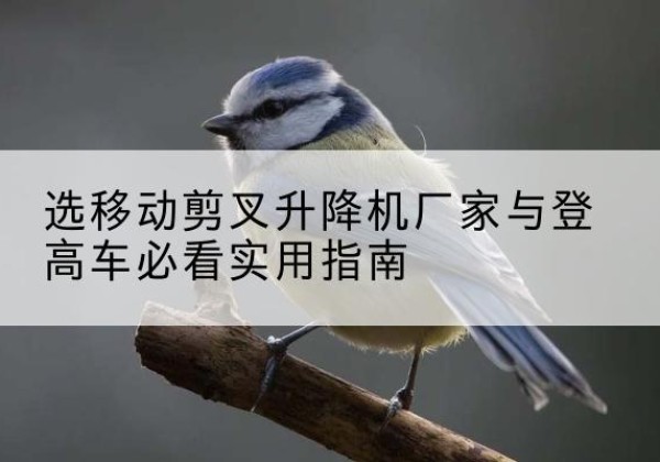 浑源电动升降机厂家-选移动剪叉升降机厂家与登高车必看实用指南